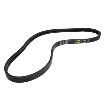 Curea transmisie Claas, 2HB 2250, 629673 Alpha Parts - 1