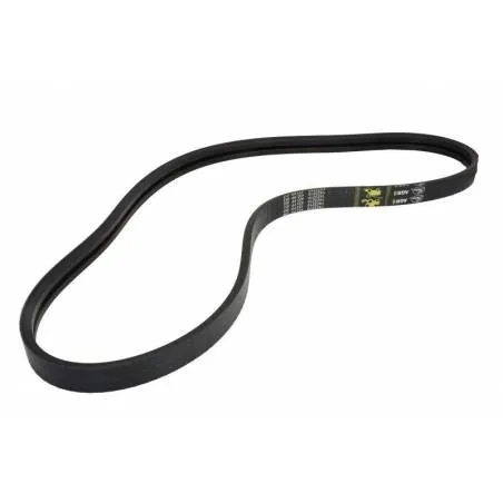 Curea transmisie Claas, 2HB 2250, 629673 Alpha Parts - 1