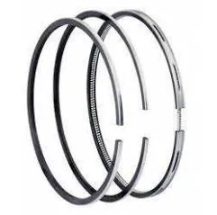 Segmenti motor Fiat Ø 100 mm- STD, 1900708, 1900719,1900730, 1900740, 1908737, 1909172 Bepco - 1