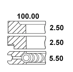 Segmenti motor Fiat Ø 100 mm- STD, 1900708, 1900719,1900730, 1900740, 1908737, 1909172