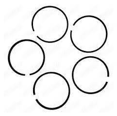 Set segmenti motor Case-IH Fi 87.30 MM 717859R1, H3050149R92, H3052120R1 Sparex - 1