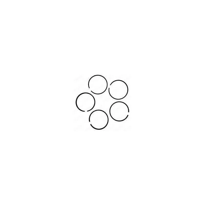 Set segmenti motor Case-IH Fi 87.30 MM 717859R1, H3050149R92, H3052120R1 Sparex - 1