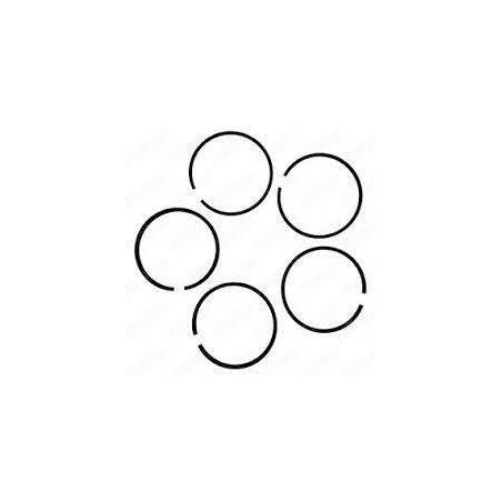 Set segmenti motor Case-IH Fi 87.30 MM 717859R1, H3050149R92, H3052120R1 Sparex - 1