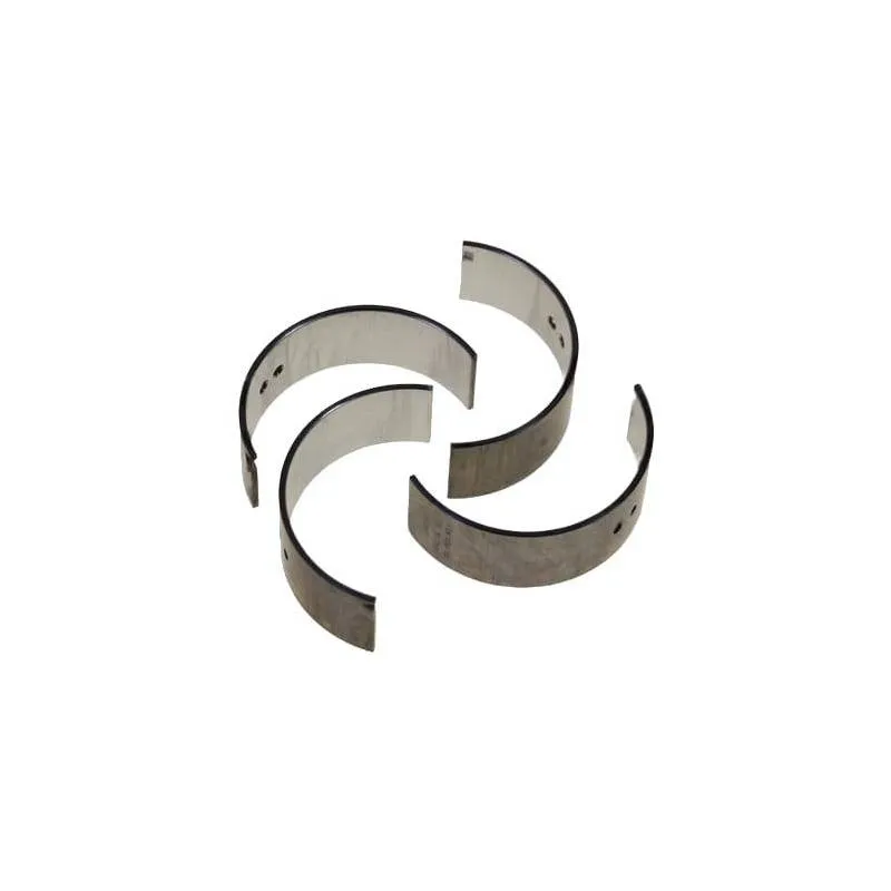 Set cuzineti biela STD Fiat 1909856, 561275 Bepco - 1