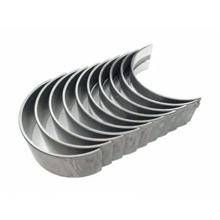 Set cuzineti palier STD John Deere RE57279 Bepco - 1