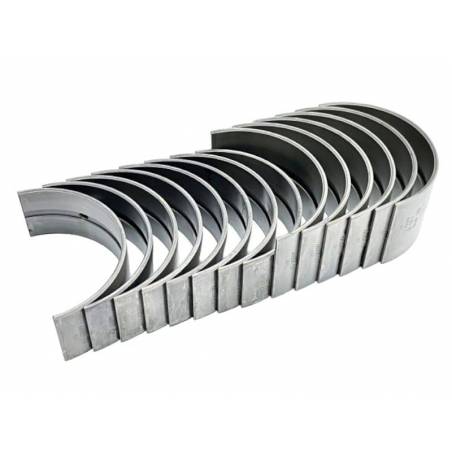 Set cuzineti palieri STD Fiat 1901021, 1901244, 1909309 Bepco - 1