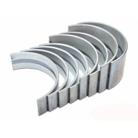 Set cuzineti palier R2 Massey Ferguson 58703B, 68083B, 68084B Bepco - 1