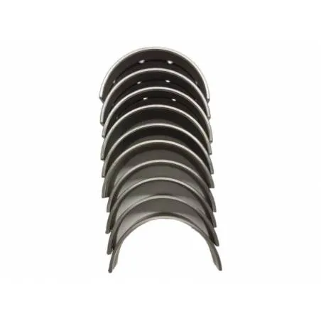 Set cuzineti palier R3 Fiat 564514+520, 2-256C Bepco - 1