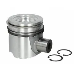 Piston motor Iveco EuroCargo 2996853, 2994011, 2992558