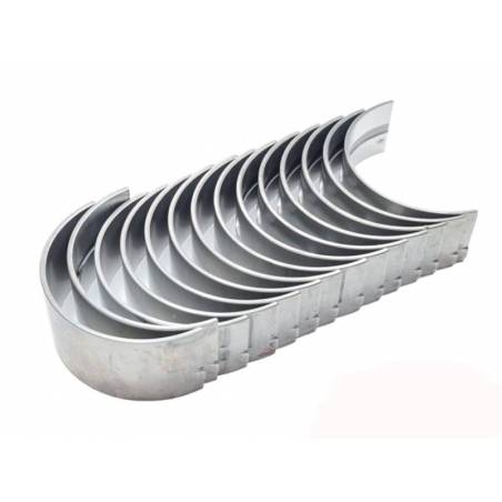 Set cuzineti palier R2 Massey Ferguson 68079B, 68081B, 744923M91 Bepco - 1