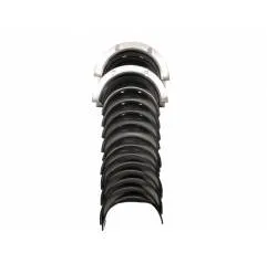 Set cuzineti palier R1 Fiat 1901245, H1175/7 0.25 Glyco - 1