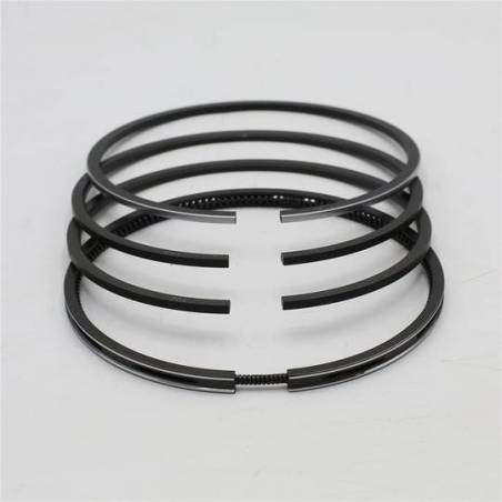 Set segmenti motor Same, 0.042.0054.6 , 0.054.0054.6 , 0.073.0054.6 Bepco - 1