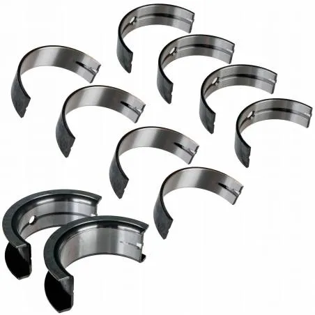 Set cuzineti palier Case R1, 87555923 Bepco - 1