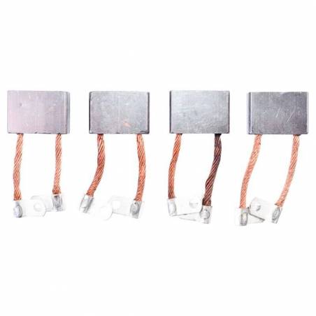 Set perii electromotor Raba 10131001