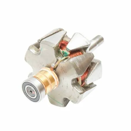 Rotor alternator 24V pentru Raba, Saviem tip 01170 Autospeed - 1