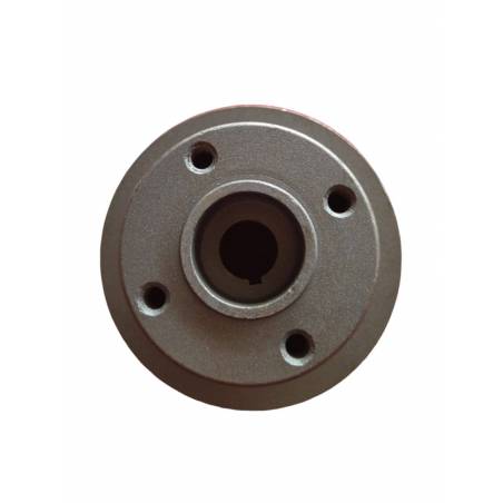 Fulie pompa apa Massey Ferguson Ø19x124.3mm, 31146952, 41312428 Kmp - 1