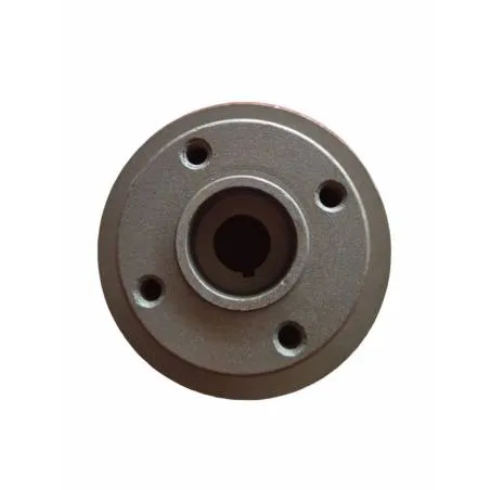 Fulie pompa apa Massey Ferguson Ø19x124.3mm, 31146952, 41312428 Kmp - 1