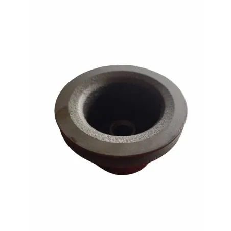 Fulie pompa apa Massey Ferguson Ø19x124.3mm, 31146952, 41312428