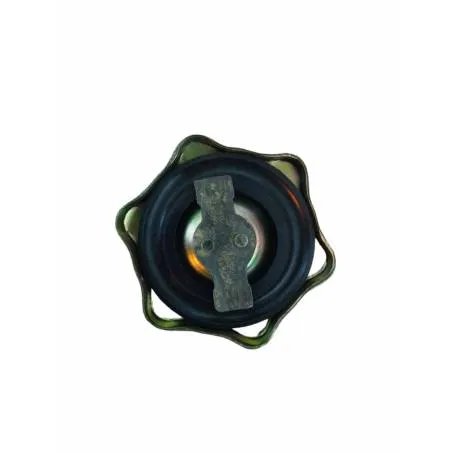 Buson ulei motor pentru FIAT, New Holand, BK78186, DISKE49, 4232606