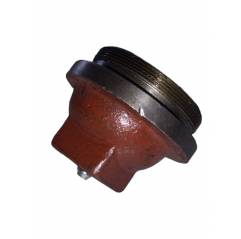 Capac piulita butuc Ford, 957E1139, CFPN1130B, 1717282 AAP - 1