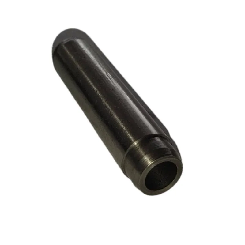 Ghid supapa Claas 3318A721, 375827A1, 5200021099 - 1