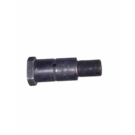 Bolt cilindru hidraulic TAF, DISBZ24 - 1