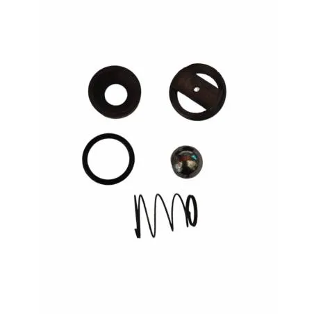 Kit reparatie pompa hidraulica, R708400 - 1