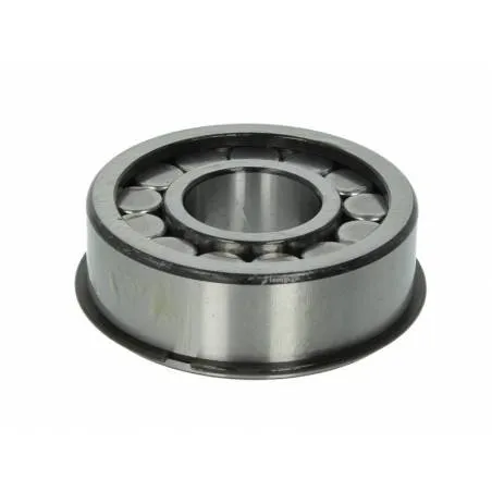 Rulment cutie de viteze Scania 1331313,1746781 - 1