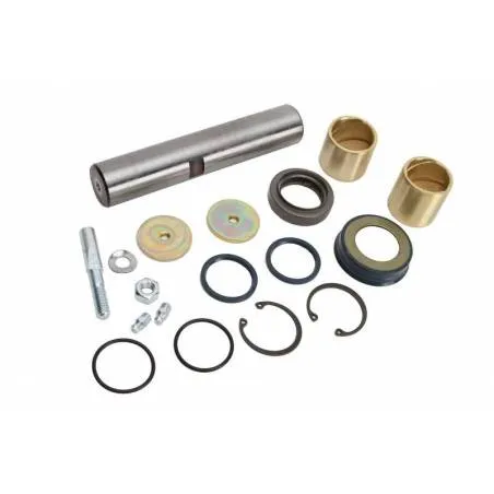 Kit pivoti Renault Midliner 5000794185,230.010 - 1