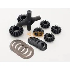 Kit diferential Renault Magnum/Premium 5001854473,5010534984 - 1