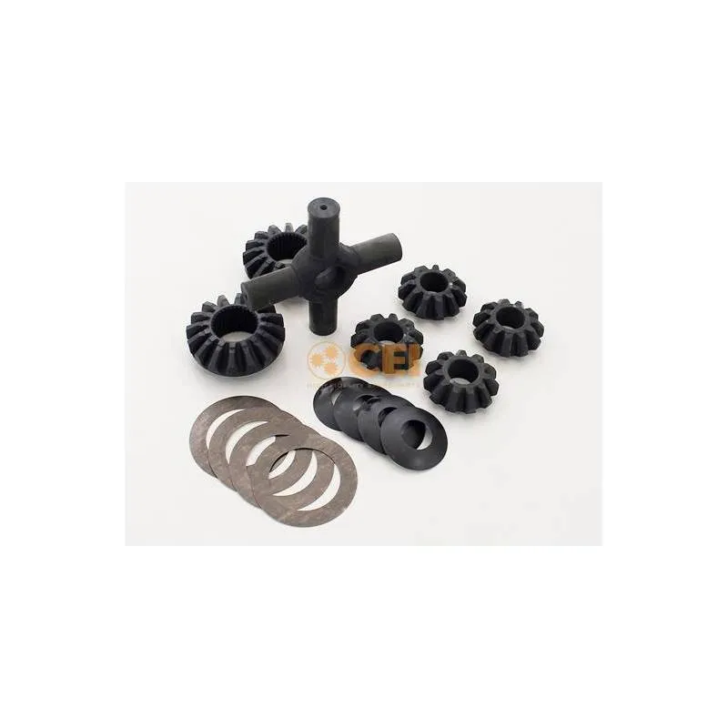 Kit diferential Renault Magnum/Premium 5001854473,5010534984 - 1