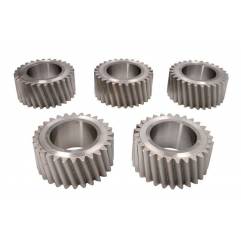 Kit pinioane sateliti cutie de viteze ZF 1316232011,95531506,42538903,81323016018 - 1