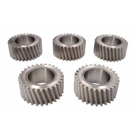 Kit pinioane sateliti cutie de viteze ZF 1316232011,95531506,42538903,81323016018 - 1