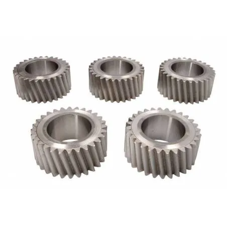 Kit pinioane sateliti cutie de viteze ZF 1316232011,95531506,42538903,81323016018 - 1