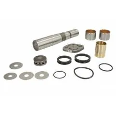 Kit reparatie pivoti Daf LF45 230.111 - 1