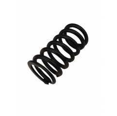 Arc supapa motor Steyr, 141100050701 - 1