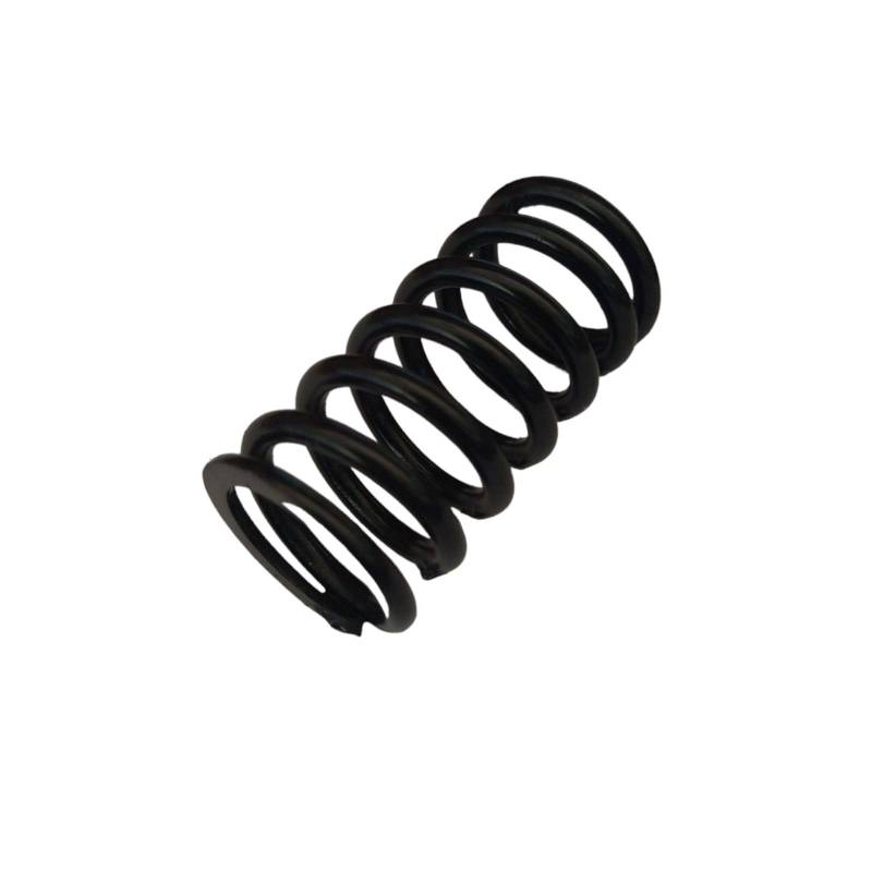Arc supapa motor Steyr, 141100050701 - 1