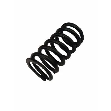 Arc supapa motor Steyr, 141100050701 - 1