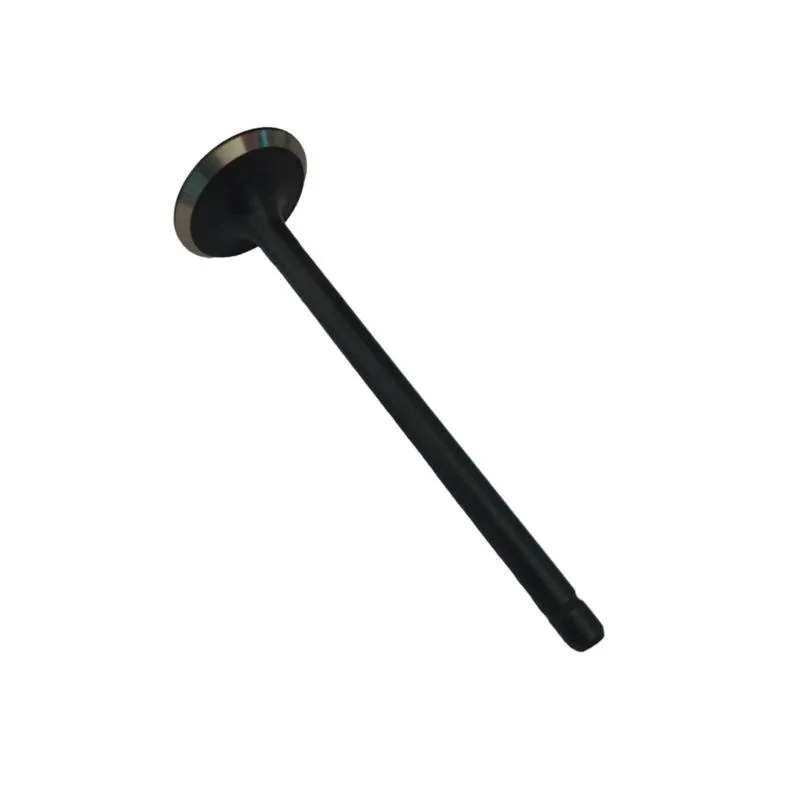 Supapa evacuare Fiat 4601298, 4618867, 4621484 - 1