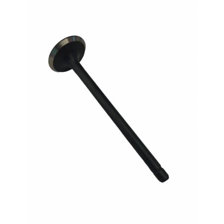 Supapa evacuare Fiat 4601298, 4618867, 4621484 - 1