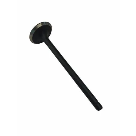 Supapa evacuare Fiat 4601298, 4618867, 4621484 - 1