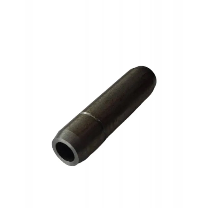 Ghid supapa Fiat 561288, 561288N - 1