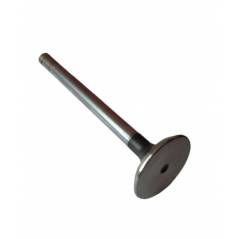 Supapa evacuare Massey Ferguson 745369M1, 748309M1, 3142A051 - 1