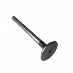 Supapa evacuare Massey Ferguson 745369M1, 748309M1, 3142A051 - 1