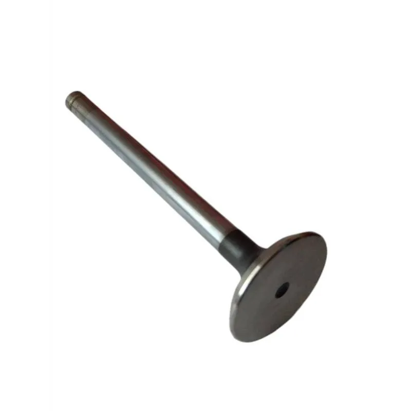 Supapa evacuare Massey Ferguson 745369M1, 748309M1, 3142A051 - 1