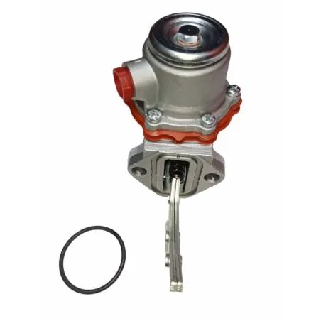 Pompa de alimentare Iveco, 4800420, 4802838 - 1