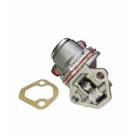 Pompa alimentare CARRARO, 50030424 - 1