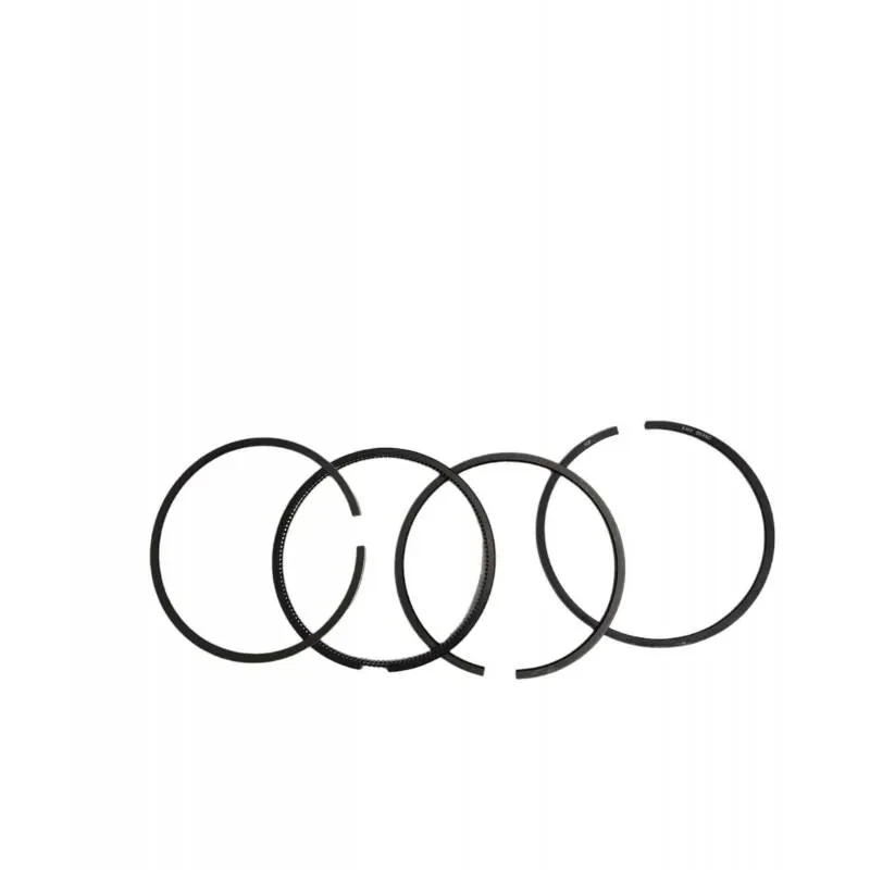 Segmenti motor Landini, 41158038, 740535M91, 745758M91 - 1