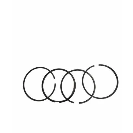 Segmenti motor Landini, 41158038, 740535M91, 745758M91 - 1