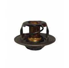 Termostat racire apa Case 82 grade, 153623588, 153630400 - 1